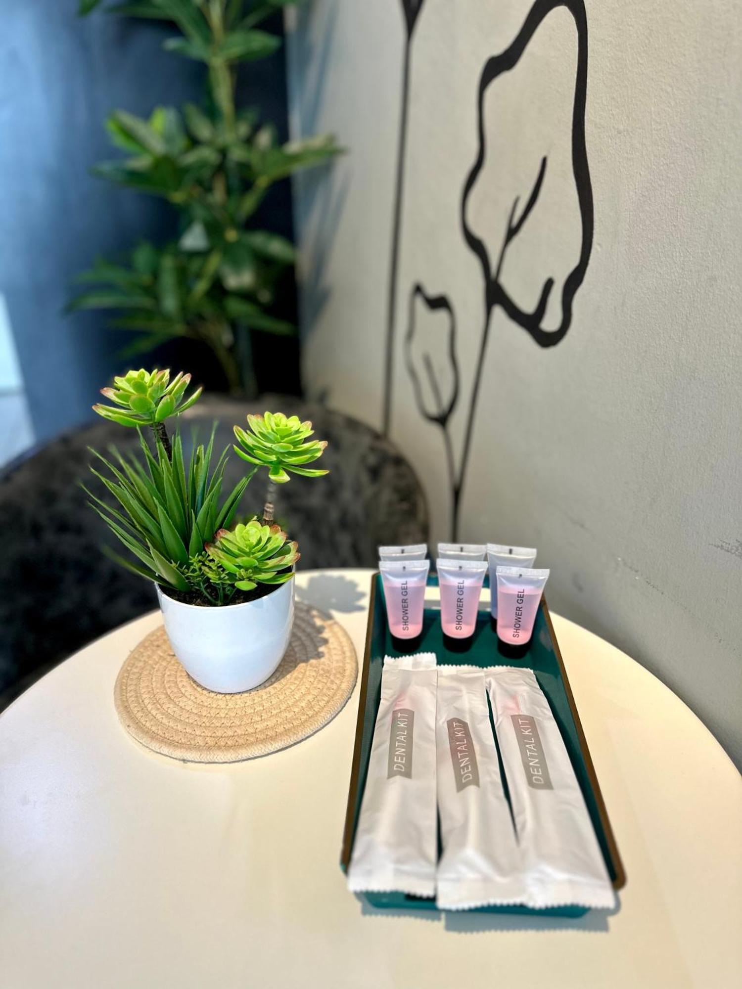 Owl Nest Suite' At Aeropod Sovo 코타키나발루 객실 사진